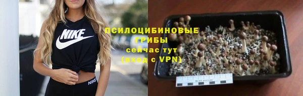 бошки Балахна