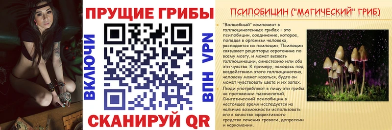 Псилоцибиновые грибы GOLDEN TEACHER  где можно купить   Унеча 